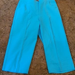 Alfred dunner petite capris